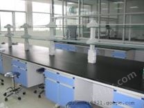 甘肃实验室家具系列产品，实验台，通风柜，环扬*承建
