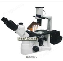BDS200-FL倒置荧光显微镜